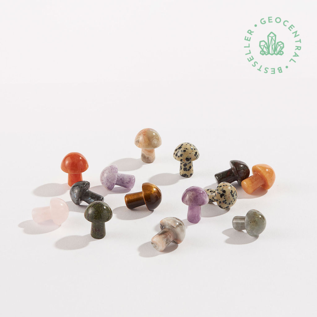 Assorted Carved Crystal Mini Mushrooms 🍄-Random Color Chosen