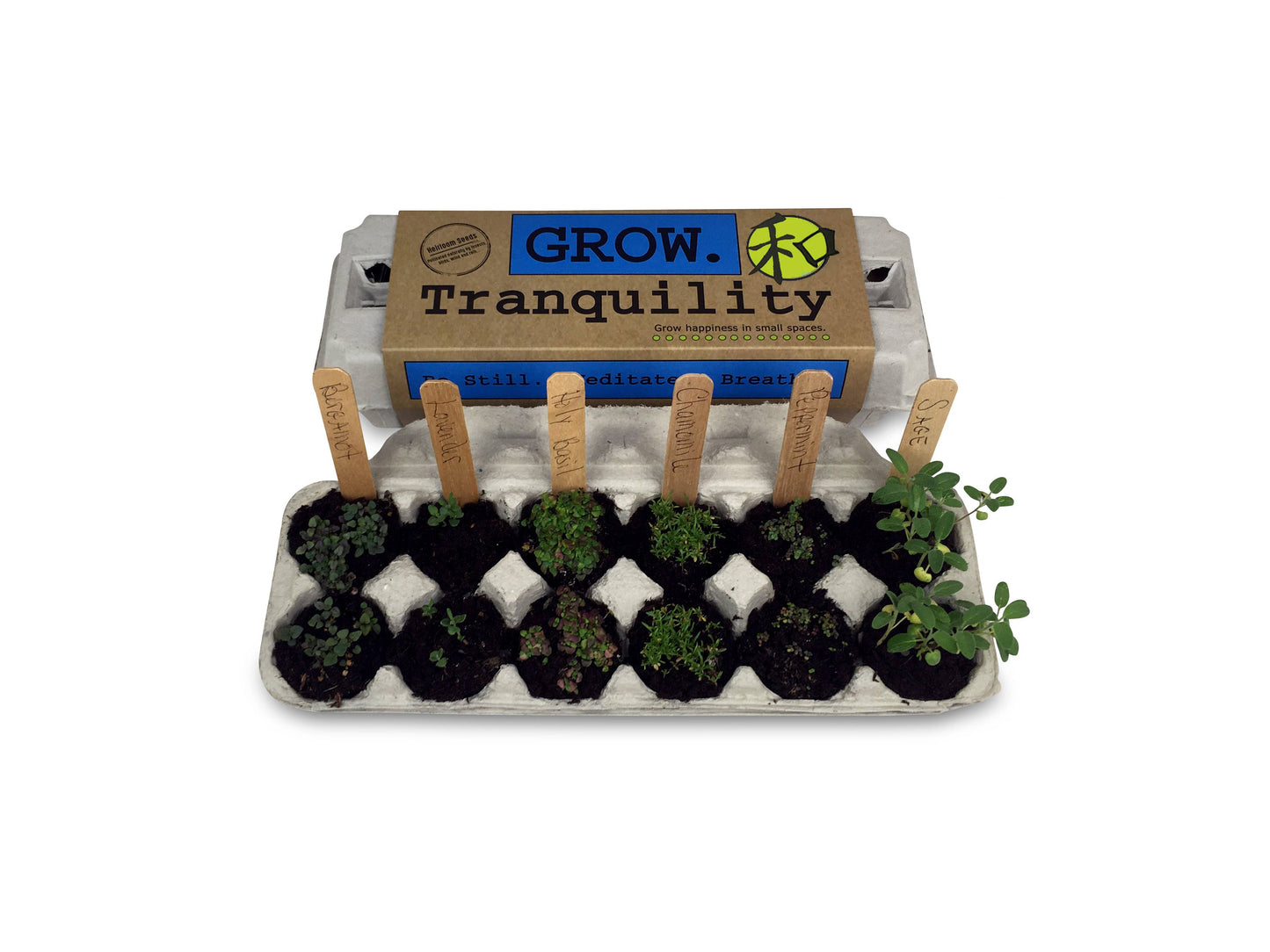 Tranquility Garden Grow Kit