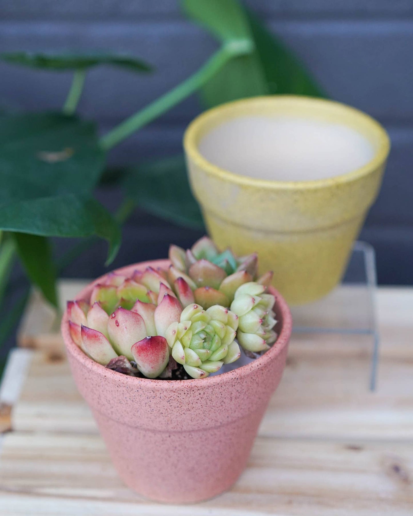 Classic Planter