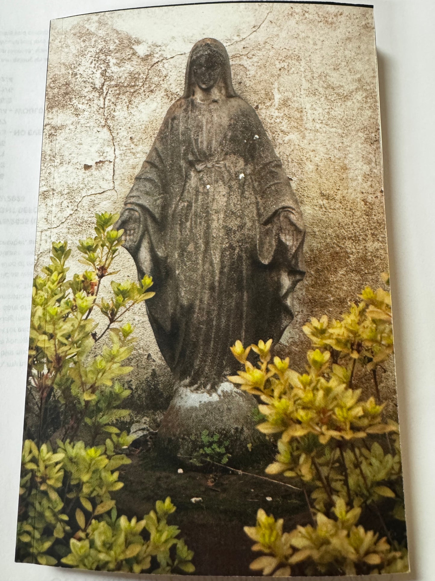 The Savage Saint
