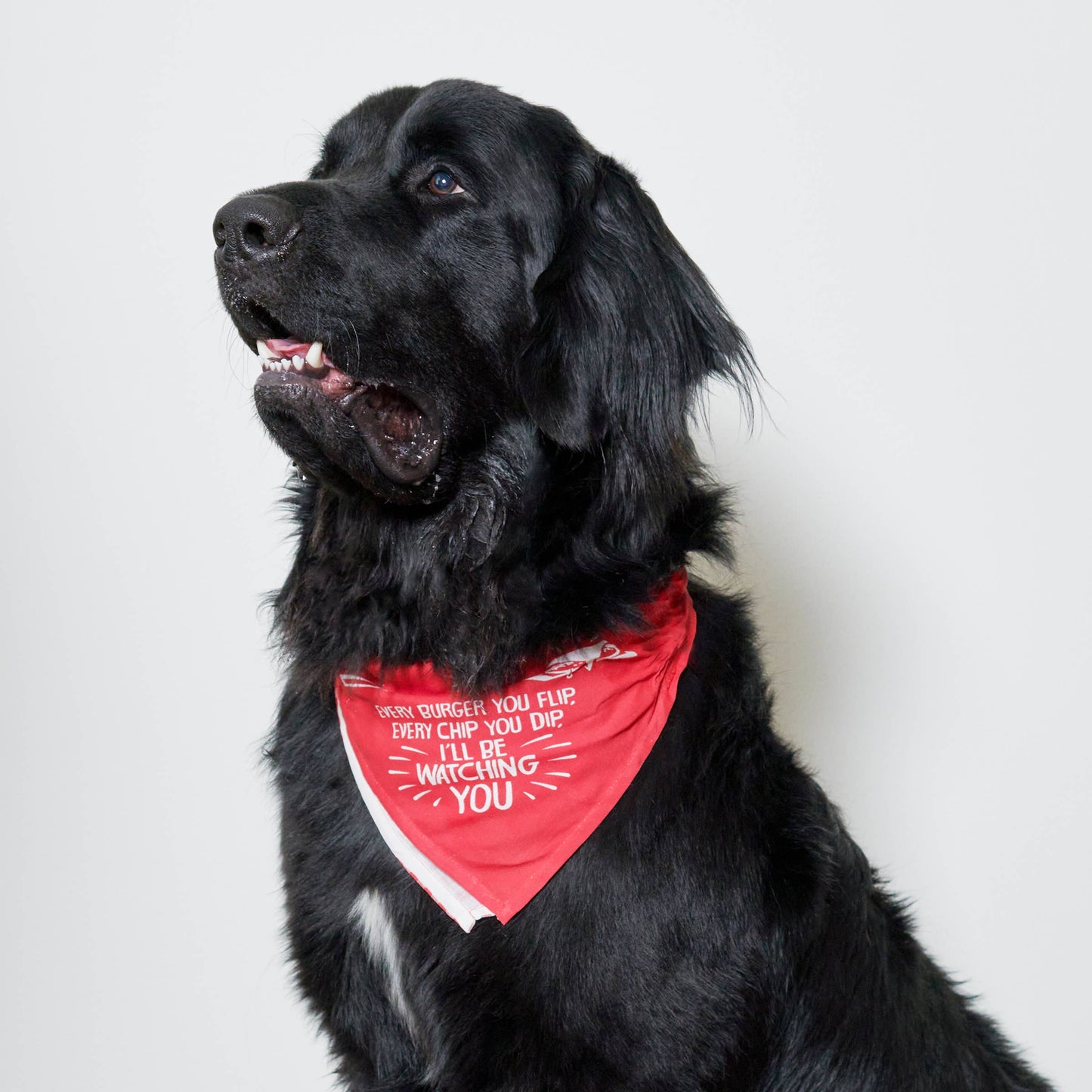 Large Every Burger Pet Bandana
