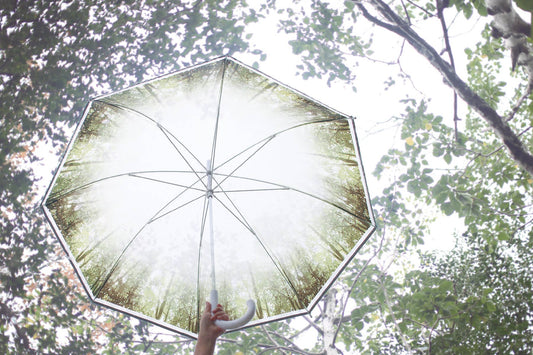 Happy Clear Standard Umbrella
