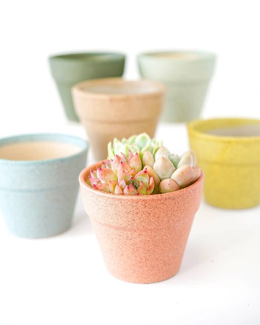 Classic Planter