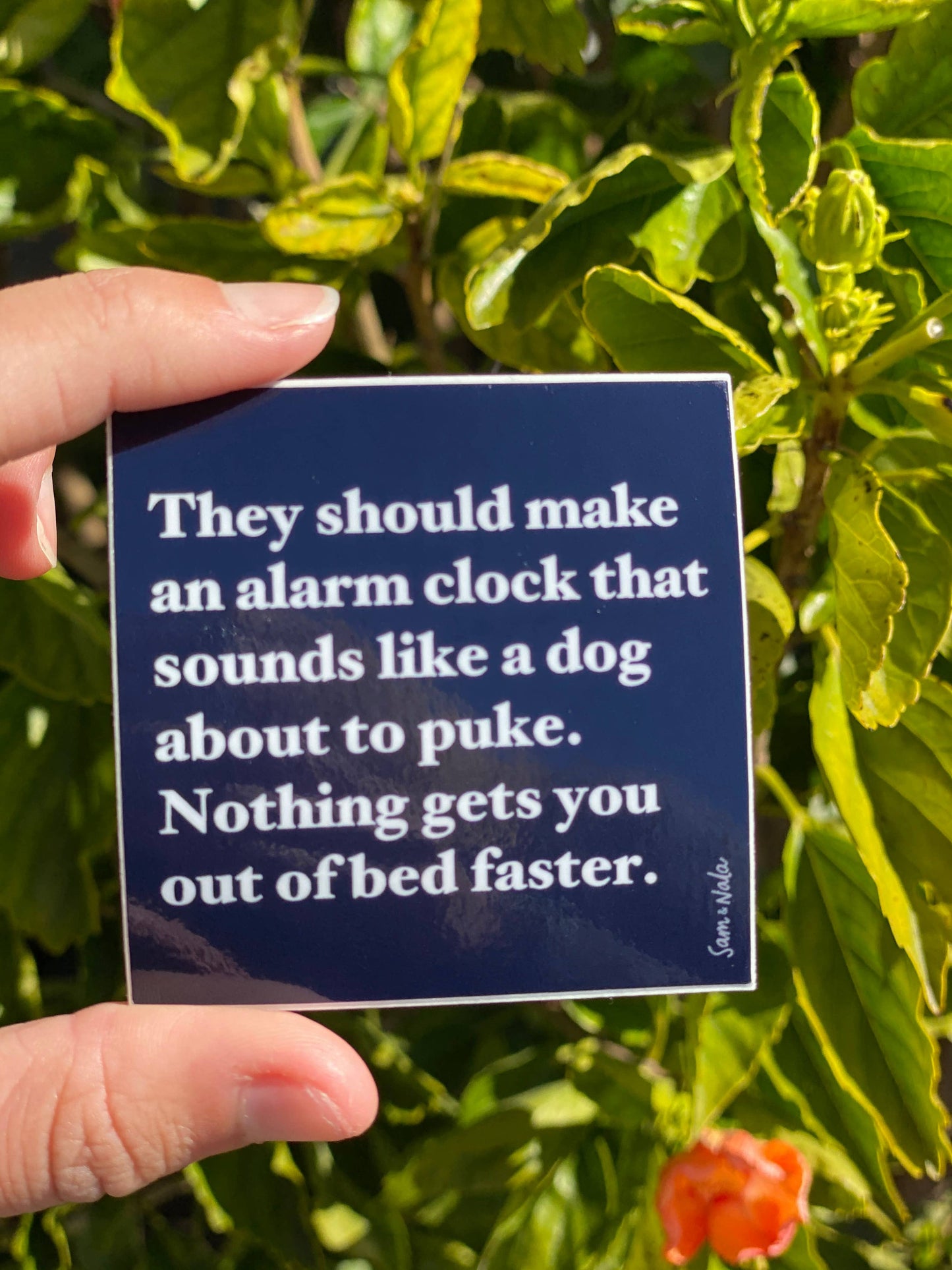Alarm Clock Dog Vinyl Sticker- durable & resistant to fading